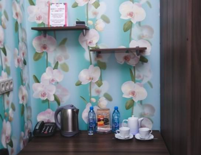 Номер стандарт эконом с 2 односпальными кроватями (с пансионом) - Санаторий «Рассвет» Бердск