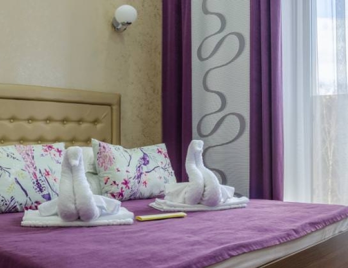 Номер улучшенный с 1 двуспальной кроватью (с пансионом) - Санаторий «Рассвет» Бердск