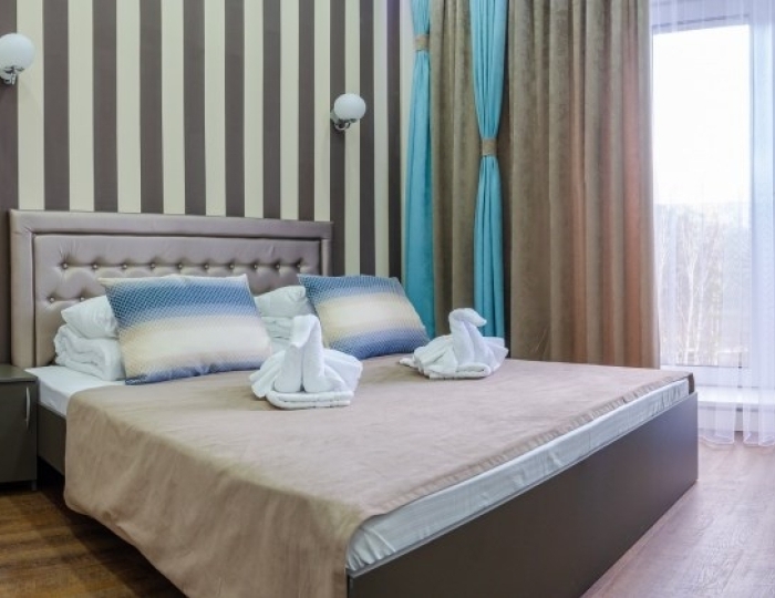 Стандарт+ 2-местный двусп.кровать - Санаторий «Рассвет» Бердск