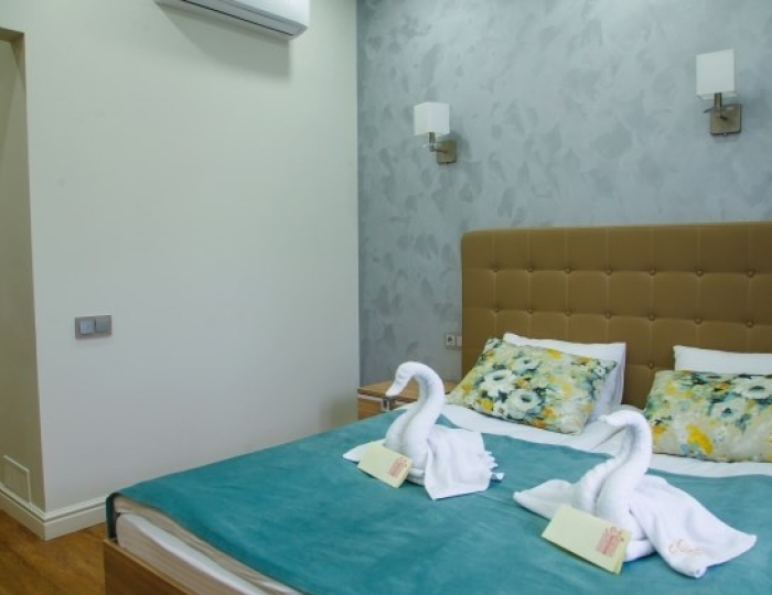 Стандарт+ 2-местный двусп.кровать - Санаторий «Рассвет» Бердск